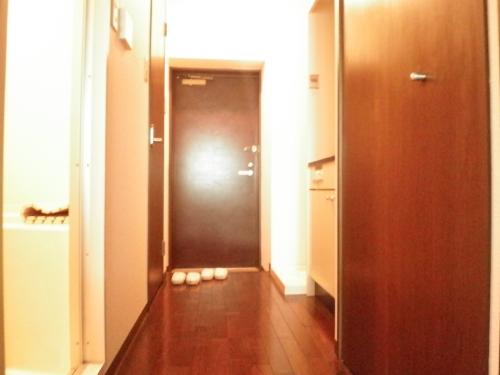 Ｓエーデルメタレ 部屋その他５_1584_773_5.jpg
