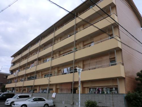 メゾン南加賀屋 mezonnminamikagaya.jpg