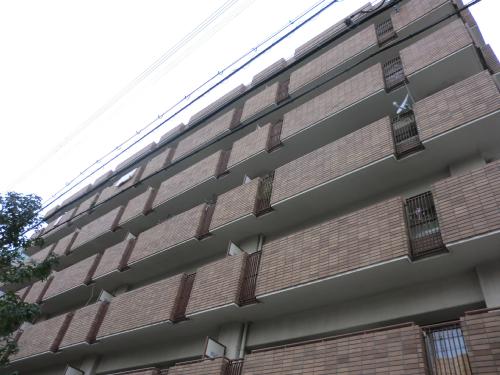 パークハイム住之江 外観1_500.jpg