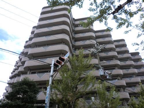 クリアクレセント住之江 建物その他１_1584_1201.jpg