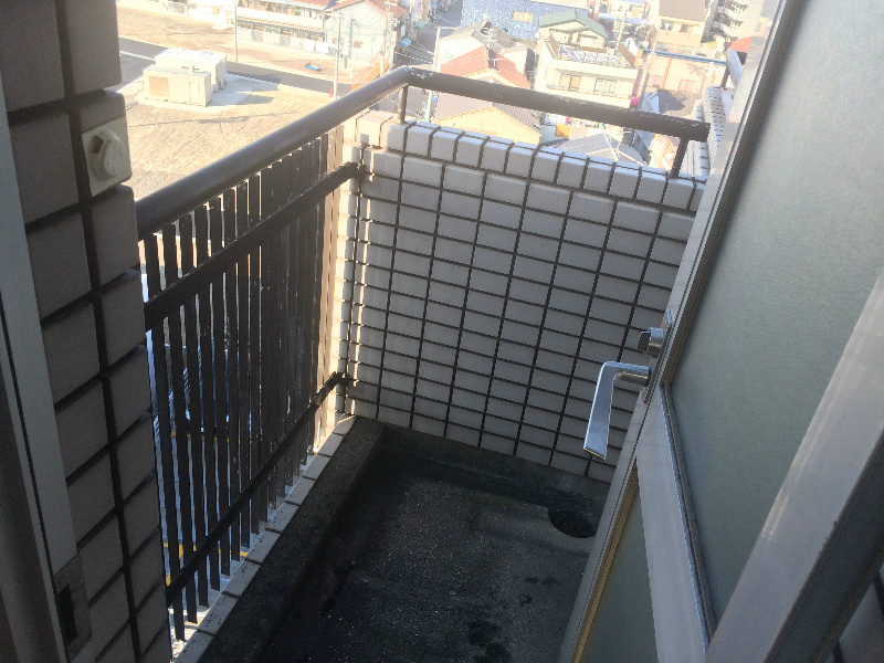 ロイヤルカトレア IMG_4075.jpg