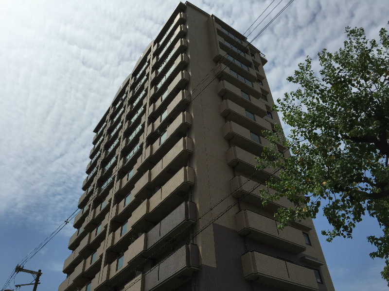 サニーコットン住之江 IMG_4943.jpg