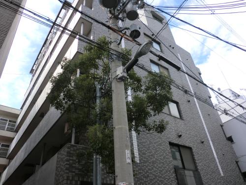 ウイングテル御崎 外観_1584_789.jpg